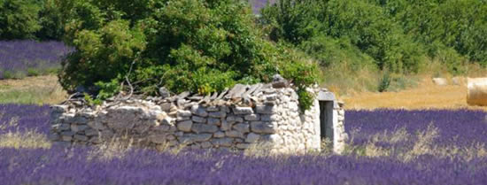 ruine d'une borie