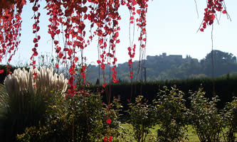 Ménerbes, Luberon